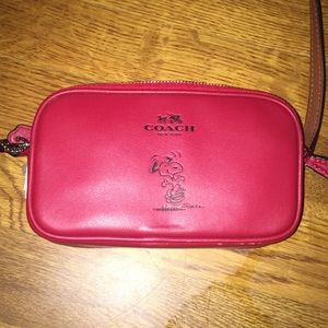 NWT Coach crossbody purse